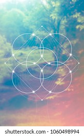 Flower of life interlocking circles and triangles sacred geometry illustration with golden ratio digits in front of photographic background.