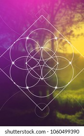 Flower of life interlocking circles and triangles sacred geometry illustration with golden ratio digits in front of photographic background.