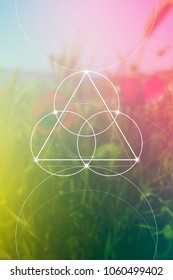 Flower of life interlocking circles and triangles sacred geometry illustration with golden ratio digits in front of photographic background.