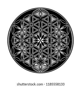 Flower of Life - intersecting circles forming.