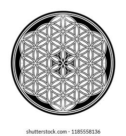 Flower of Life - intersecting circles forming.