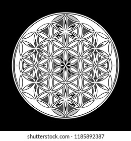 Flower of Life - intersecting circles forming.