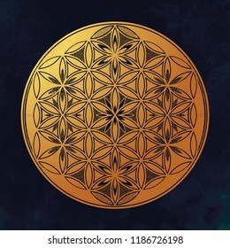 Flower of Life - intersecting circles forming.