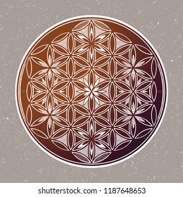 Flower of Life - intersecting circles forming.