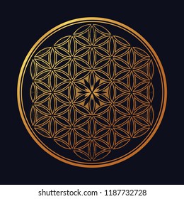 Flower of Life - intersecting circles forming.