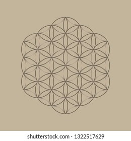 Flower of life mandala on grey background. Sacred geometry and spiritual symbol. Logo design. Zen illustration. Yoga background. Emblem of harmony. Vector drawing. - Vector