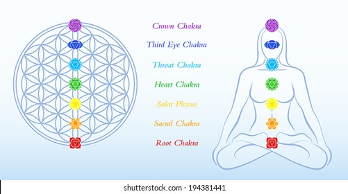 Flower of life and meditating woman, both with symbols of the seven main chakras plus description. Vector illustration on blue gradient background.