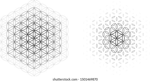 Flower Of Life. Modern Simple Line Design, Editable Strokes. Sacred Geometry, Mandala. Vector Illustration, EPS 10