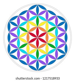 Flower of Life on a isolated white background.