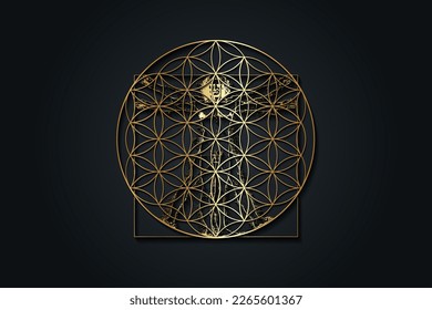 Flower of Life on Vitruvian Man by Leonardo Da Vinci - Sacred Geometry, logo design, luxury gold texture, vector illustration isolated on black background