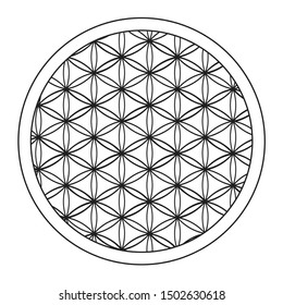 Flower Of Life Pattern Plates. isolated illustrator
