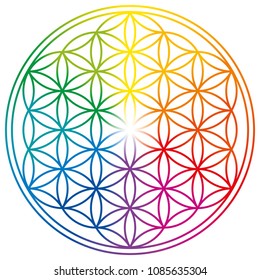 Flower of Life in rainbow colors. Geometrical figure, spiritual symbol, Sacred Geometry. Overlapping circles forming a flower like pattern with symmetrical structure. Illustration over white. Vector.