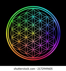 Flor de vida con colores arcoiris.Figura geométrica con múltiples espacios pares,patrón de círculos superpuestos, estructura simétrica de hexágono.Signo de símbolo vector.Geometría sagrada.Mandala.Meditación.