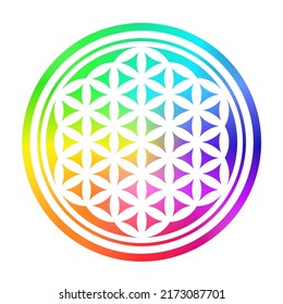 Flower Of Life with rainbow colors.Geometrical figure with multiple evenly-spaced,overlapping circles pattern, symmetrical structure of hexagon.Vector symbol sign.Sacred geometry.Mandala.Meditation.