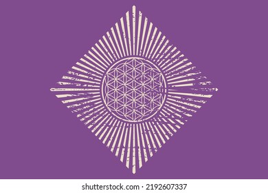 Flor de vida, mandala espiritual retro, Geometría sagrada. Vintage radiante símbolo de armonía y equilibrio. Talismán místico, vector rhombus aislado en fondo morado 