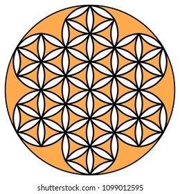 Flower of Life. Sacred Geometry