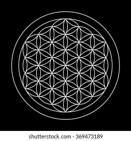 Flower of life. Sacred geometry.