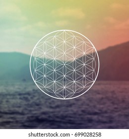 Flower of life sacred geometry ancient symbol in front of blurry photo vector background