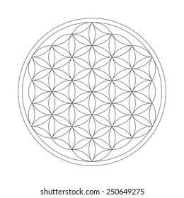 Flower of Life - Sacred Geometry - Base Shape