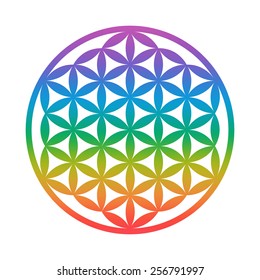 Flower of Life - Sacred Geometry - Chakra colors