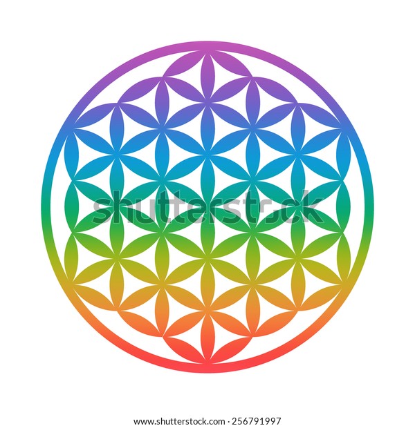 Flower Life Sacred Geometry Chakra Colors Stock Vector (Royalty Free ...