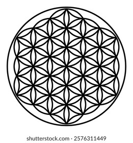 Flower of life Sacred geometry contour outline line icon black color vector illustration image thin flat style