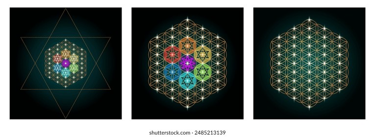 Blume des Lebens Sakrale Geometrie Geometrische mystische Mandala der Alchemie Esoterisches Gold Luxus Design Vektorgrafik Göttliche meditative Amulett goldenes Symbol Symbolische Harmonie Mystische Talisman Stern von David