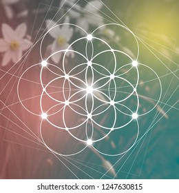 Flower of life sacred geometry illustration with intelocking circles and light dots in front of wide photographic background. 