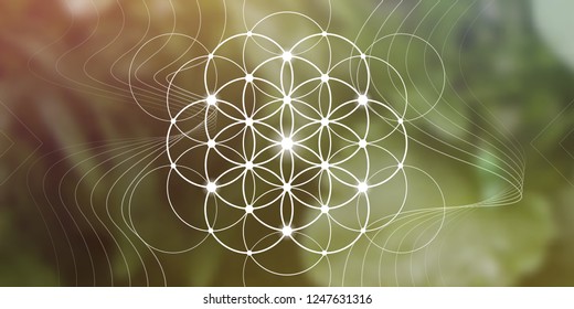 Flower of life sacred geometry illustration with intelocking circles and light dots in front of wide photographic background. Geometric trendy  graphic banner.