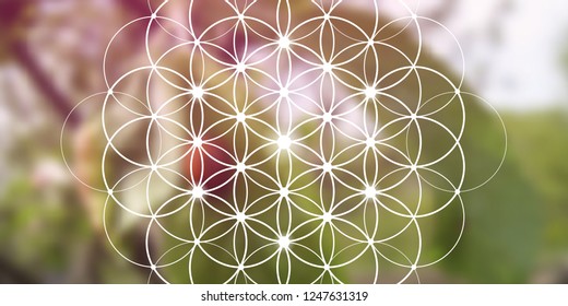 Flower of life sacred geometry illustration with intelocking circles and light dots in front of wide photographic background. Geometric trendy  graphic banner.