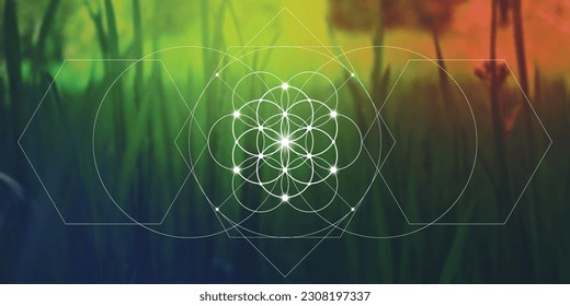 Flower of life. Sacred geometry inspired futuristic illustration with interlocking circles, triangles and rectangles. Science and technology background. Math inspired geometric background. 