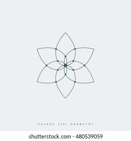 flower of life. sacred geometry. lotus flower. mandala ornament. esoteric or spiritual symbol. isolated on white background. vector illustration
