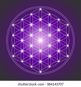 Flower of life, sacred geometry. Shiny emblem of life harmony. shiny circles. design elements. Vector illustration 