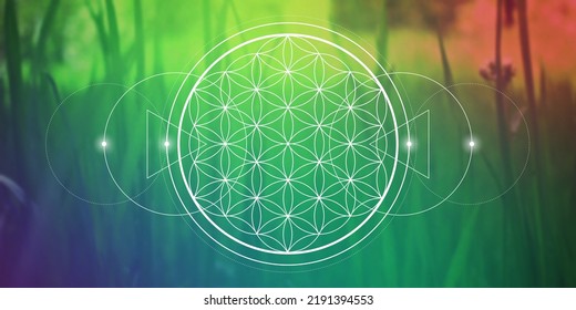 Flower of life sacred geometry spiritual new age futuristic illustration with interlocking circles, triangles and glowing particles in front of blurry natural photographic background