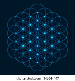 Flower of Life. Sacred Geometry. Symbol of Harmony and Balance. Vector Illustration.