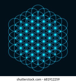 Flower of Life. Sacred Geometry. Symbol of Harmony and Balance. Vector illustration