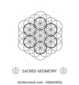 Flower of life, Sacred geometry vector illustration