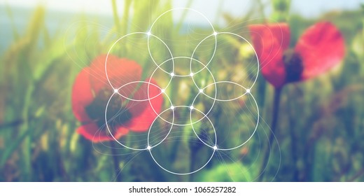 Flower of life sacred geometry web banner. Math, nature, and spirituality in nature. Interlocking circles and triangles hipster illustration in front of photographic background.