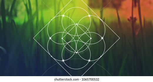 Flower of life sacred geometry web banner. Math, nature, and spirituality in nature. Interlocking circles and triangles hipster illustration with golden ratio digits in front of grass.