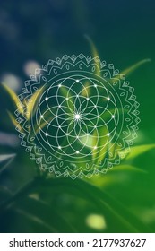 Flower of life sacred geometry zentangle inspired design template with oriental tribal ornaments. Ornamental new age art.
