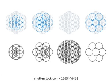 Flower of Life, Seed and Egg of Life, development. Geometrical figures, spiritual symbols and sacred geometry. Circles forming symmetrical flower-like patterns. Illustration over white. Vector.