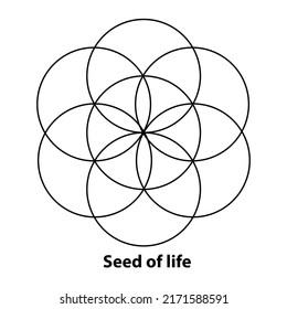 Flower of Life, Seed and Egg of Life, development. Geometrical figures, spiritual symbols and sacred geometry. Circles forming symmetrical flower-like patterns. Illustration over white. Vector.