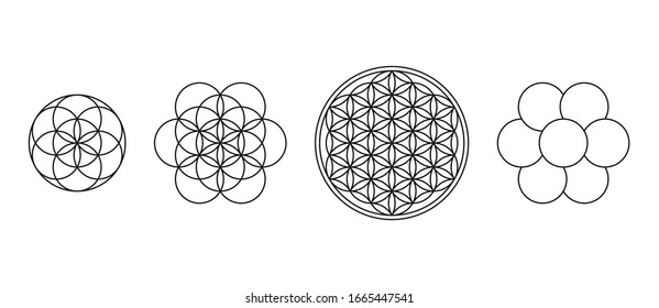 Flor de vida, semilla y huevo de vida. Figuras geométricas, símbolos espirituales y geometría sagrada. Círculos formando patrones simétricos parecidos a las flores. Ilustración sobre blanco. Vector.