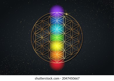flower of life and the seven chakras. Gold Sacred Geometry, set chakra points meditation. Colored chakra lights. Yoga, zen, Buddhism, recovery, wellbeing concept. Vector isolated on black background