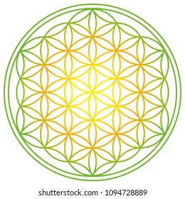 Flower of Life with spring energy colors. Geometrical figure, spiritual symbol and Sacred Geometry. Overlapping circles forming a flower like pattern with symmetrical structure. Illustration. Vector.