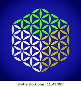 flower of life symbol color cube - illustration