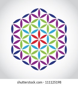 flower of life symbol color variations - illustration