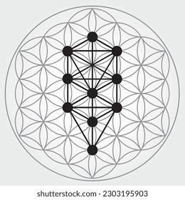 Flower of Life Symbol in Gray Colors, Cosmic Universe Energy Wheel, Tree of Sephiroth, Kabbalah