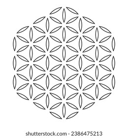 The Flower of Life Symbol. One of the basic sacred geometry shapes. Symmetry Vector illustration.