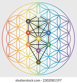 Flower of Life Symbol in Rainbow Colors, Cosmic Universe Energy Wheel, Tree of Sephiroth, Kabbalah